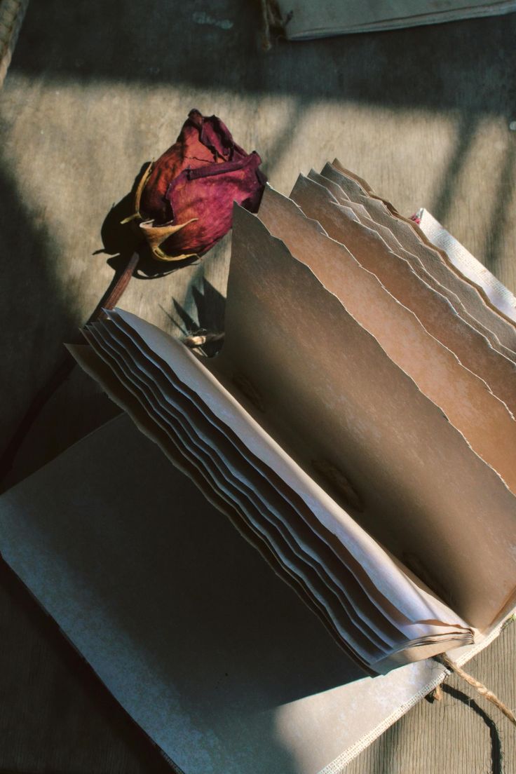 Chapter – 8 Meher’s Diary